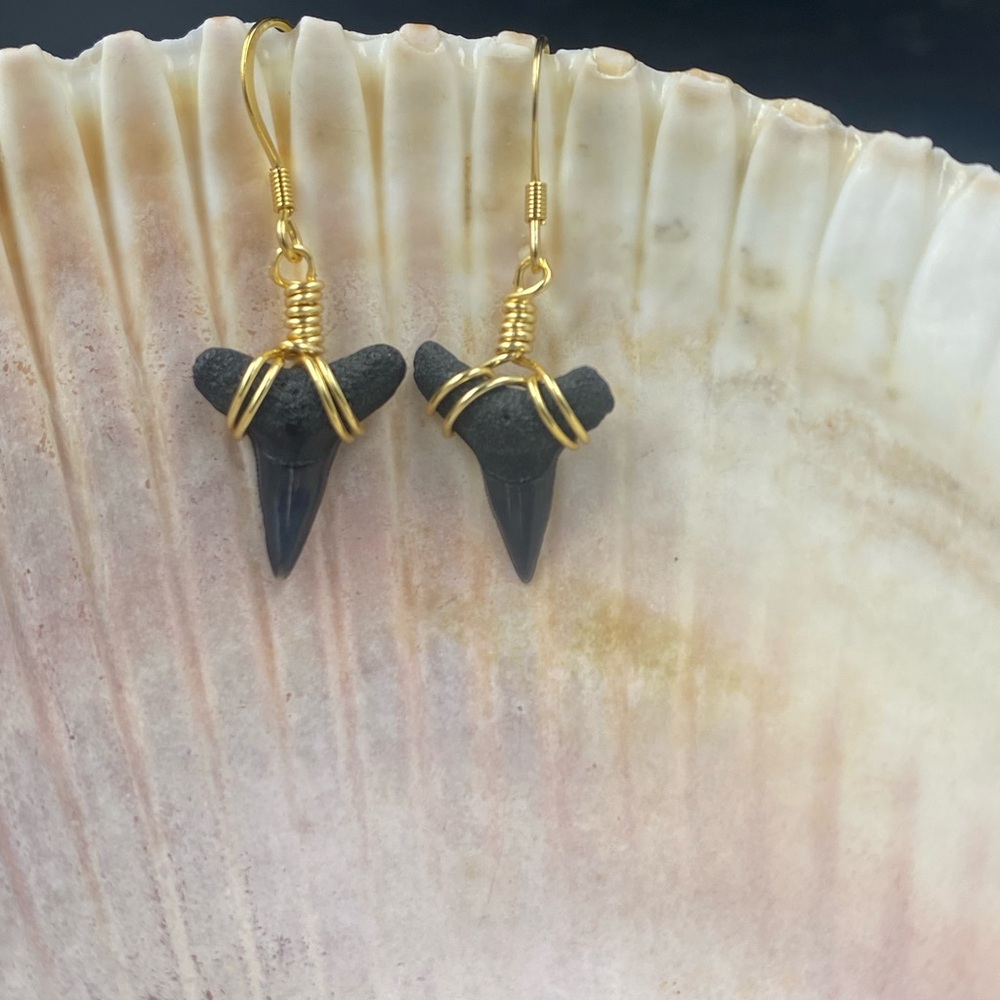 Shark Tooth Earrings – 18K Gold Plated Coastal Swag
